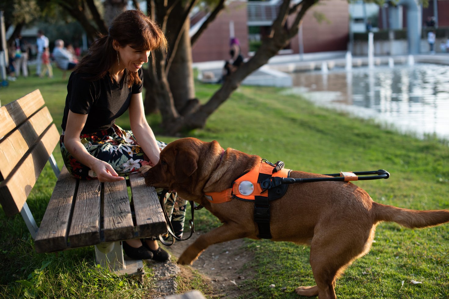 Visually Impaired Woman Playing with Service Dog on a Bench